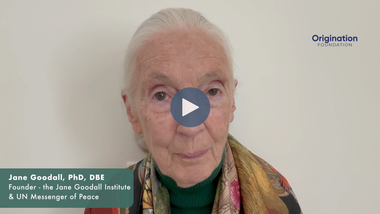 jane-goodall-origination-foundation